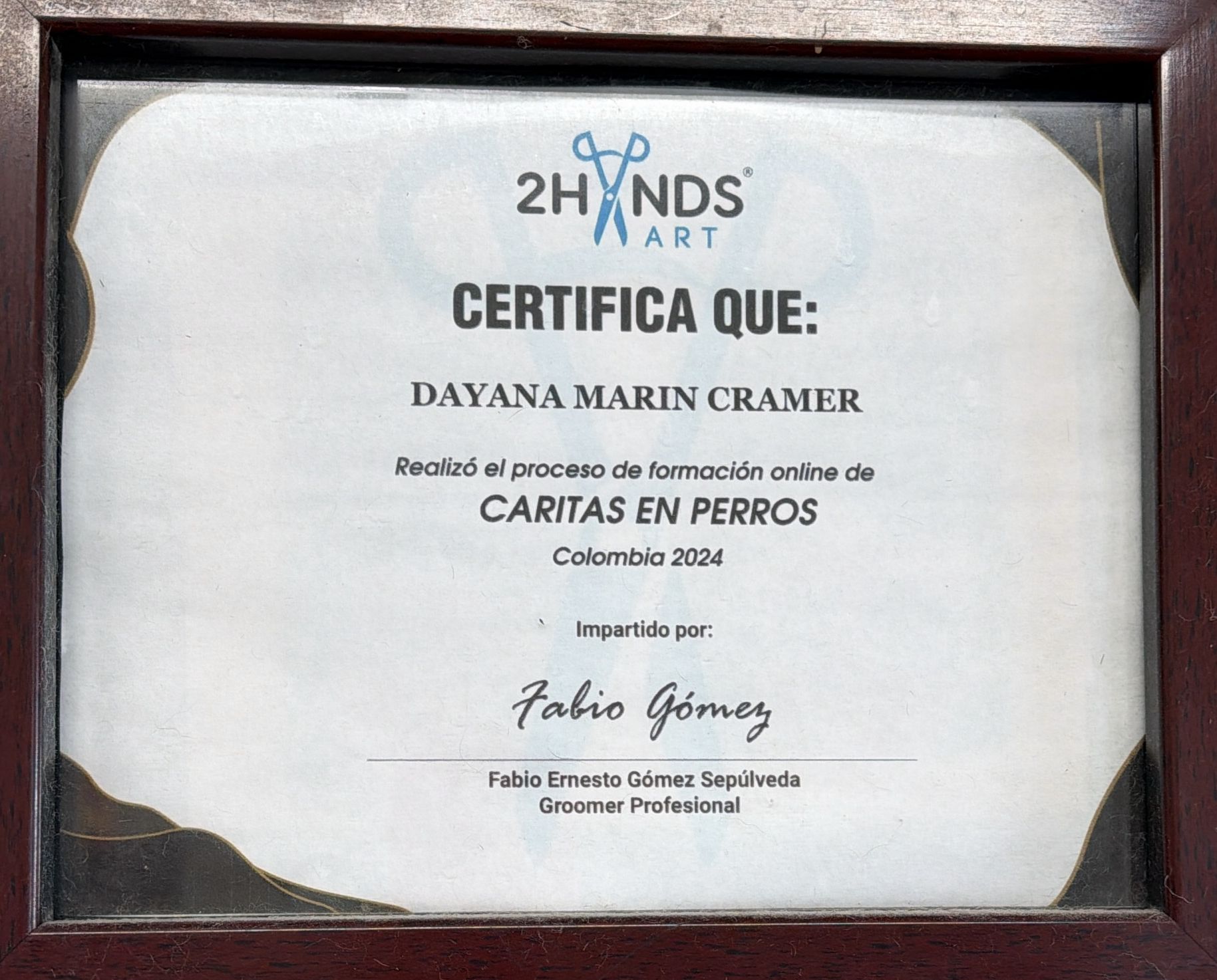 Caritas en Perros · 2Hands Art, Colombia 2024